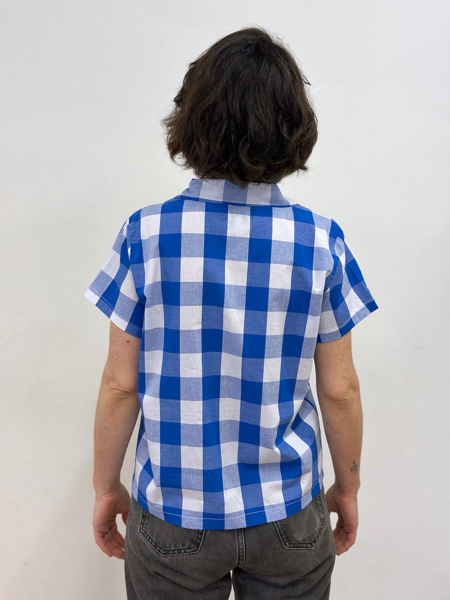 Camisa de quadres blaus i blancs